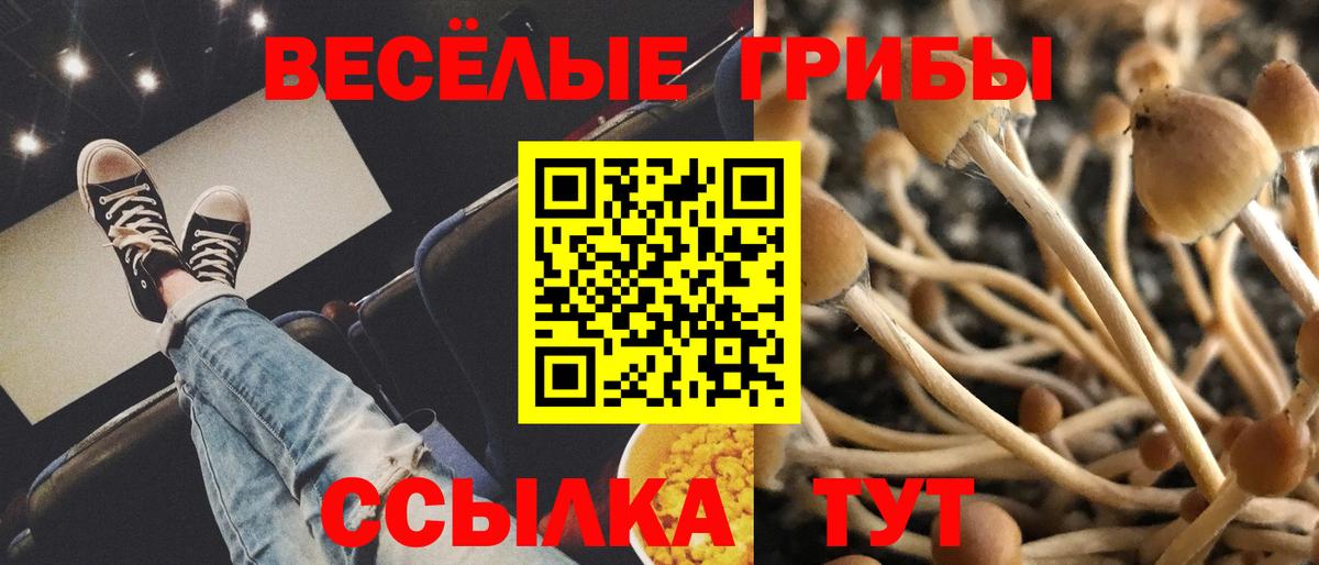 Ставрополь  Галлюциногенные грибы Psilocybine cubensis  Вход с VPN  Галлюциногенные грибы мухоморы 