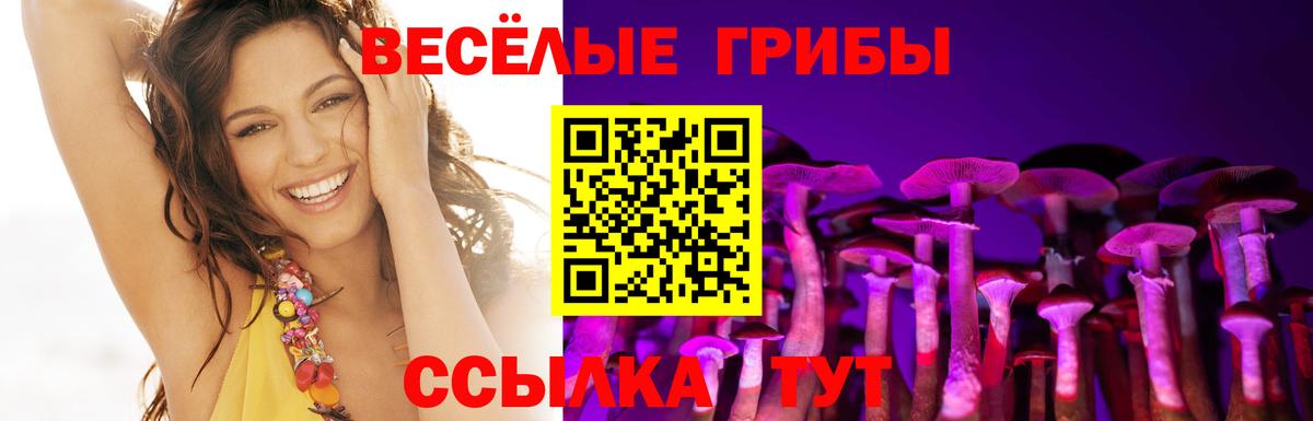 Галлюциногенные грибы Cubensis Ставрополь